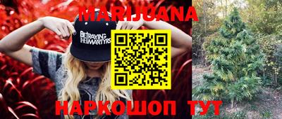 PSILOCYBIN Нальчик