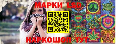 PSILOCYBIN Нальчик