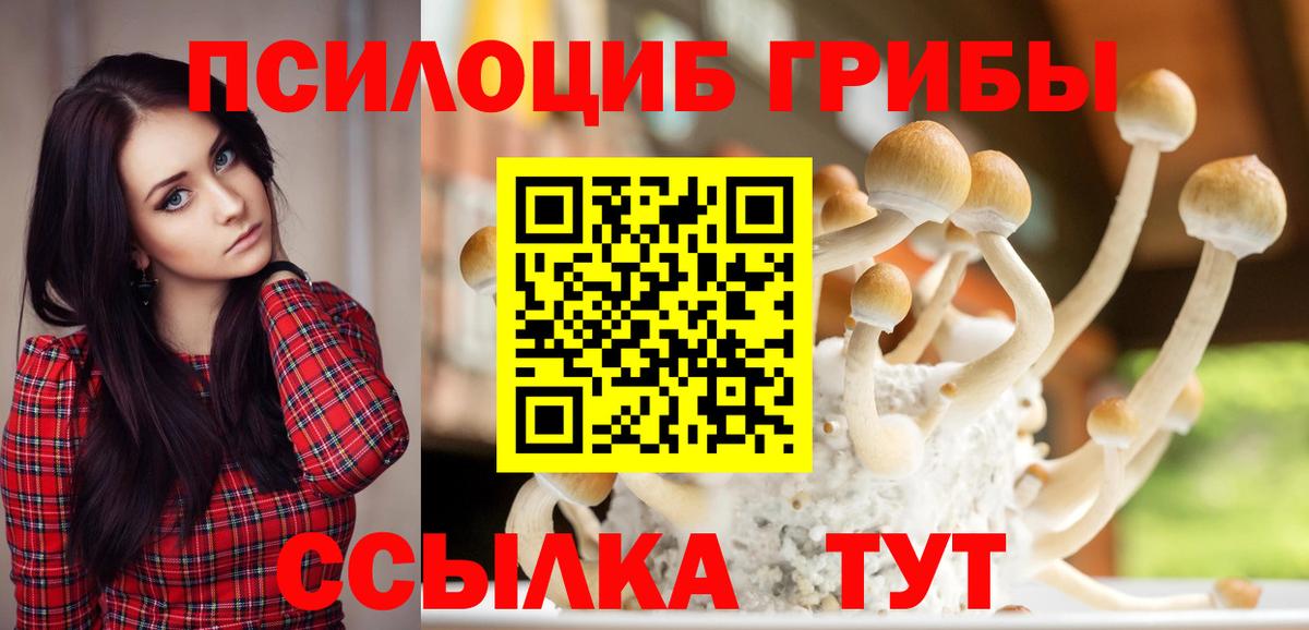 Галлюциногенные грибы мухоморы  Вход с VPN  Юрга  Галлюциногенные грибы Magic Shrooms 